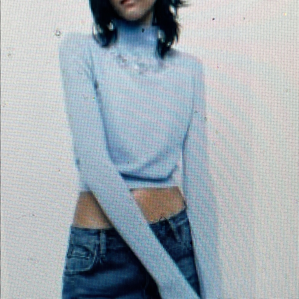 Zara Light Blue beaded neck wool /alpaca Turtleneck Sweater- nwt